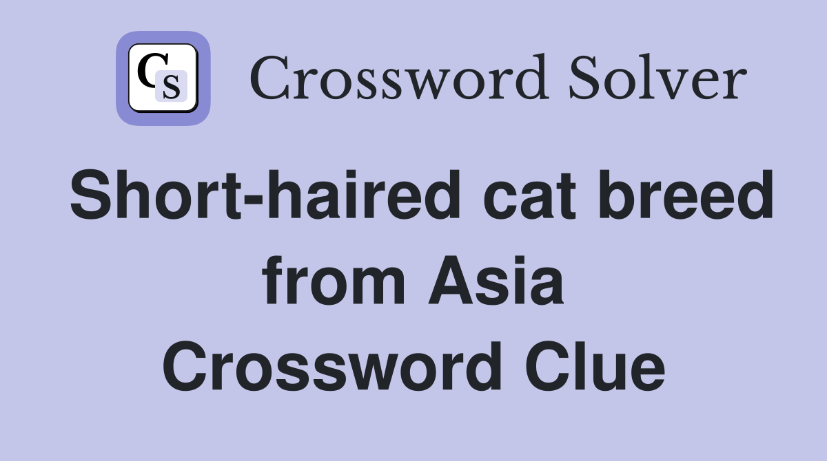 Shorthaired cat breed from Asia Crossword Clue Answers Crossword